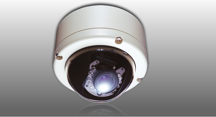 Vandal-Resistant, Day/Night,  IP Dome Camera, Outdoor