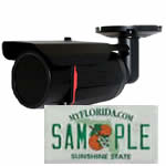 License Plate Cameras