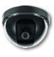 Dome Cameras