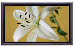 Sony PFM-42X1S Plasma Display 42